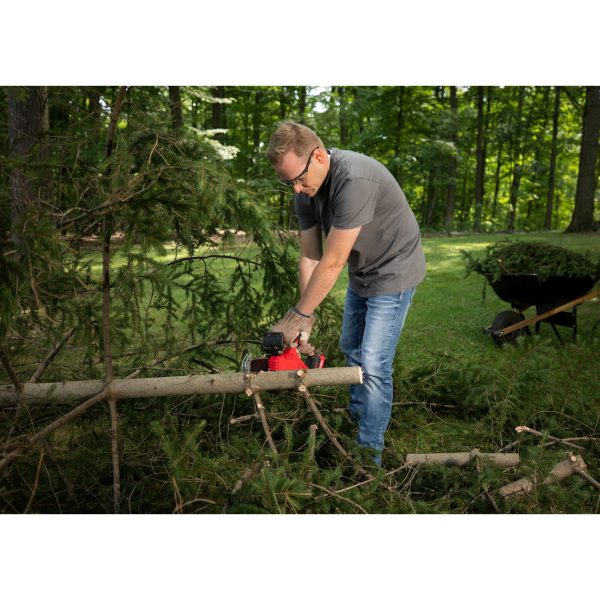 V20* Cordless Pruning Chainsaw With 2.0 Ah Battery and Charger - Image 2
