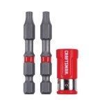 2In. TORX? 25 - 2 Pack