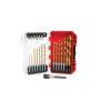 Titanium Nitride Coating Drill/Drive Set (21 pc)