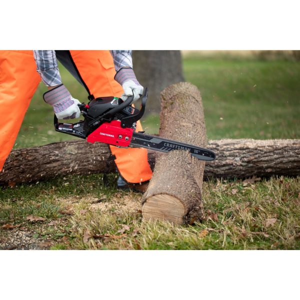 16-in. 42cc 2-Cycle Gas Chainsaw (S160) - Image 2