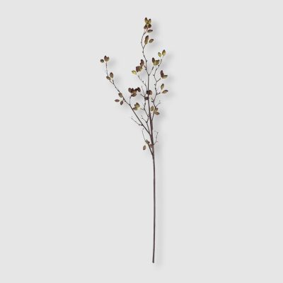 Faux Barberry Stem