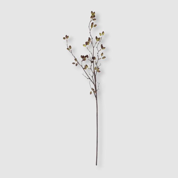 Faux Barberry Stem