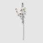 Faux Barberry Stem