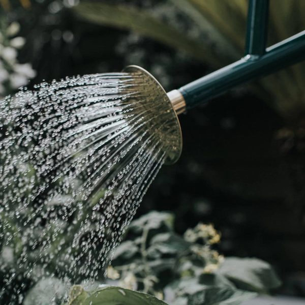 The Bearwood Brook Green - 2 Gallon Metal Watering Can - Image 3