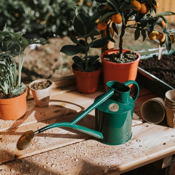 The Rowley Ripple Green - 2 Pint Metal Watering Can - Image 2