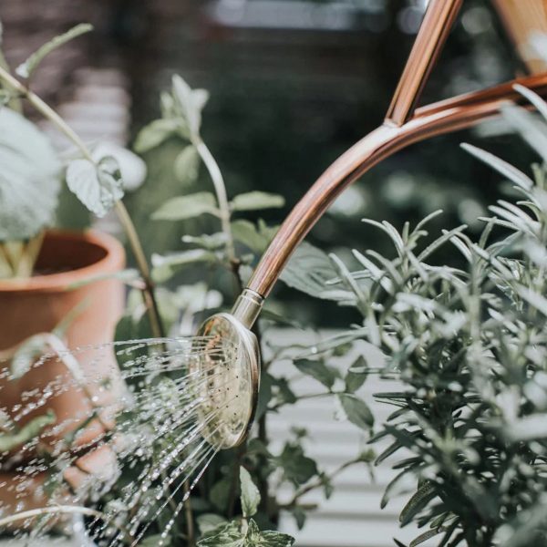 The Rowley Ripple Copper - 2 Pint Metal Watering Can - Image 3
