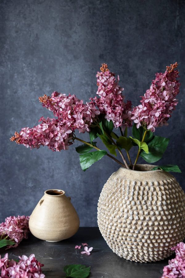 Faux Cone Hydrangea, Sunset - Image 2