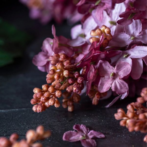 Faux Cone Hydrangea, Sunset - Image 3