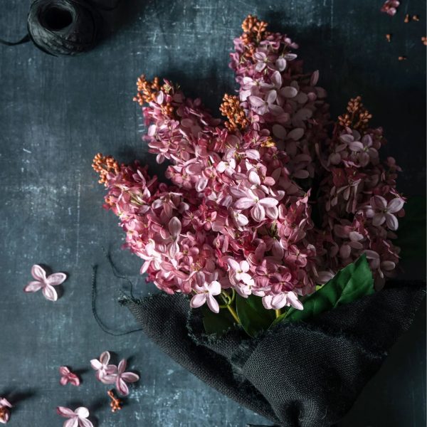 Faux Cone Hydrangea, Sunset - Image 4