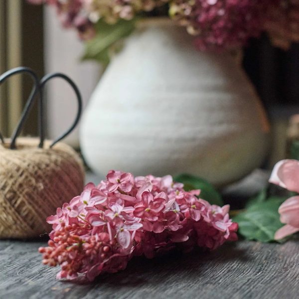 Faux Cone Hydrangea, Sunset - Image 5